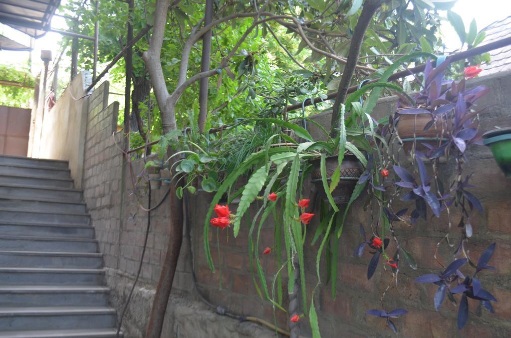 Alex'S Cosy Guesthouse Tbilisi Eksteriør bilde