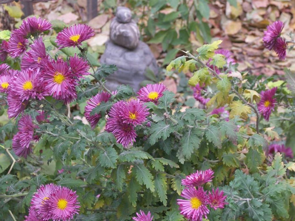 Alex'S Cosy Guesthouse Tbilisi Rom bilde